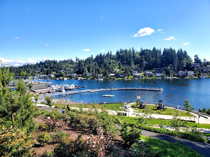 Lake Washington marina and waterfront park with tree-lined shores